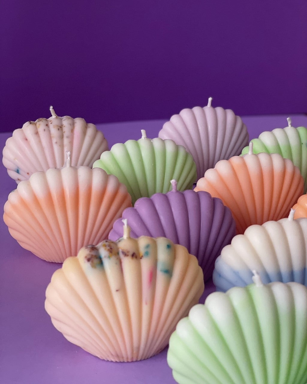 Coquillages